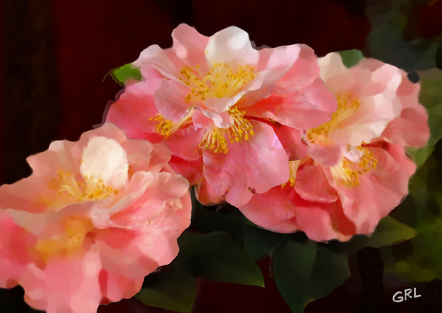 Camellias 1cmods1b Digital Painting Gulf Coast Florida Painting by G Linsenmayer