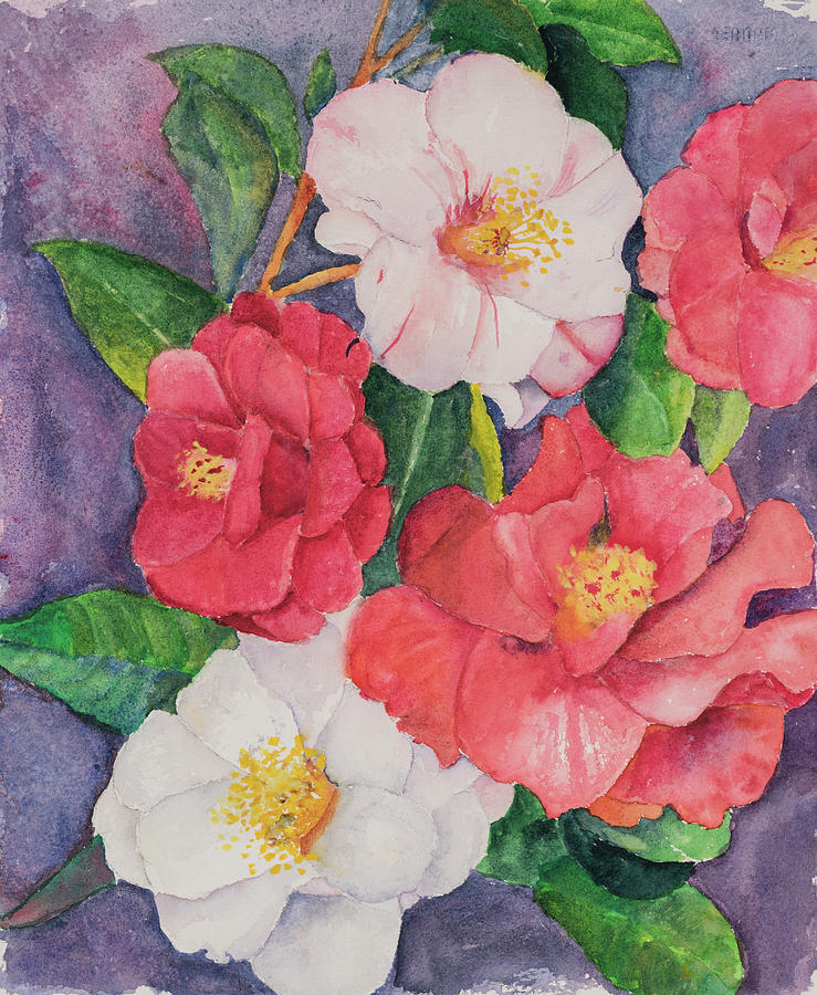 Camellias Painting by Nadine Button