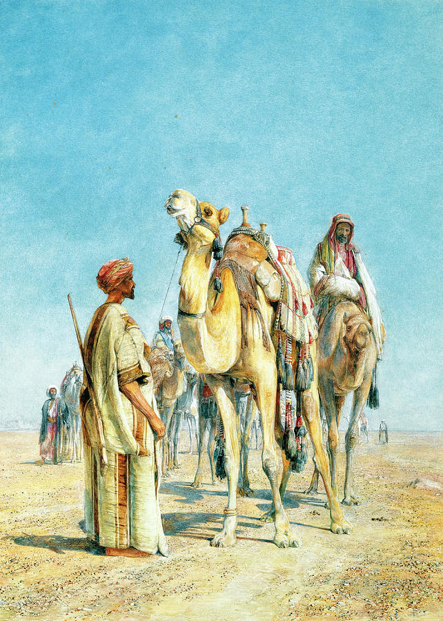 Camels Caravan Photograph by Munir Alawi