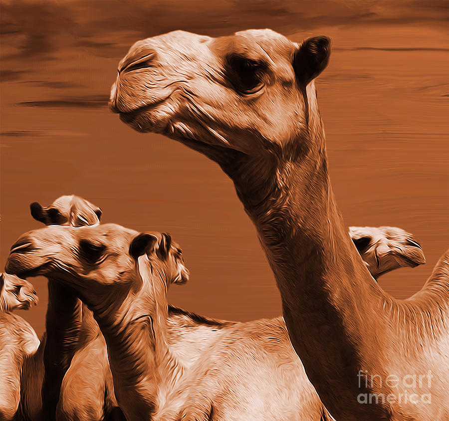 Camel Painting - Camels Faces by Gull G