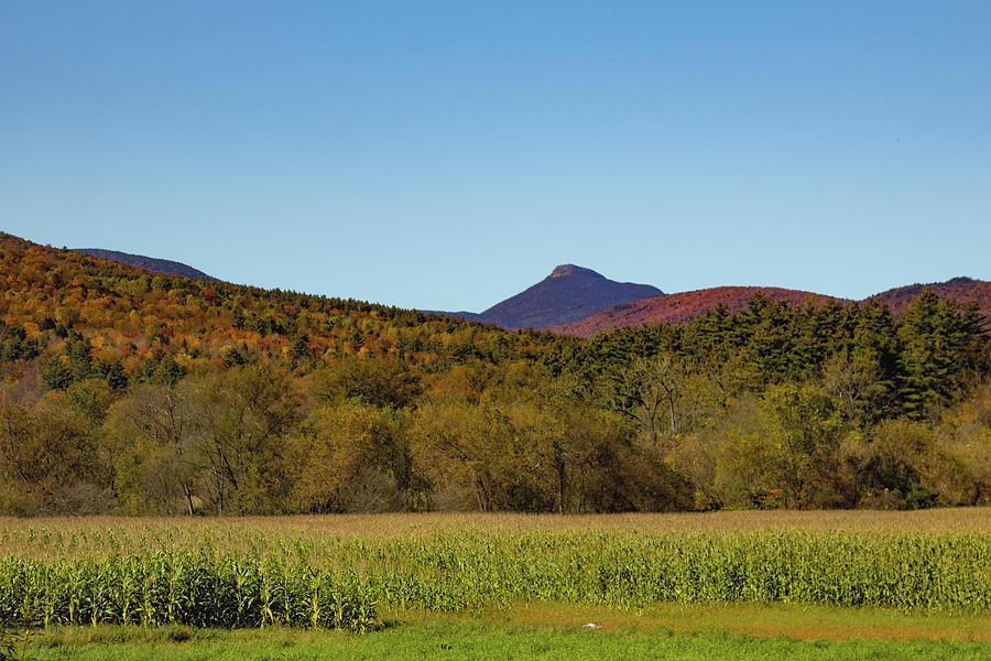 Camels Hump Mountain In Fall Photograph by Jeff Folger