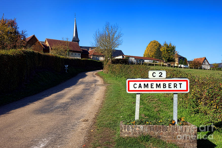 Camembert Photograph by Olivier Le Queinec