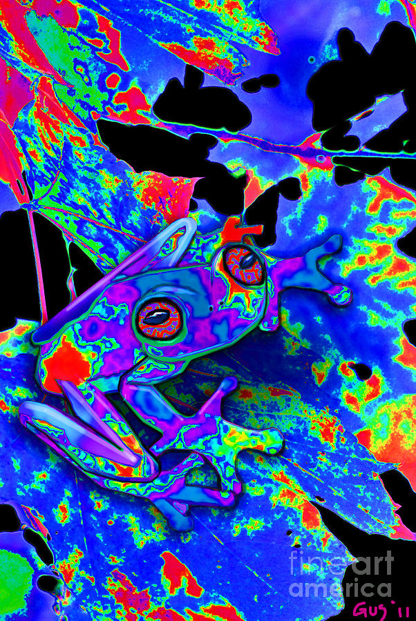 Camo Frog Digital Art By Nick Gustafson - Fine Art America