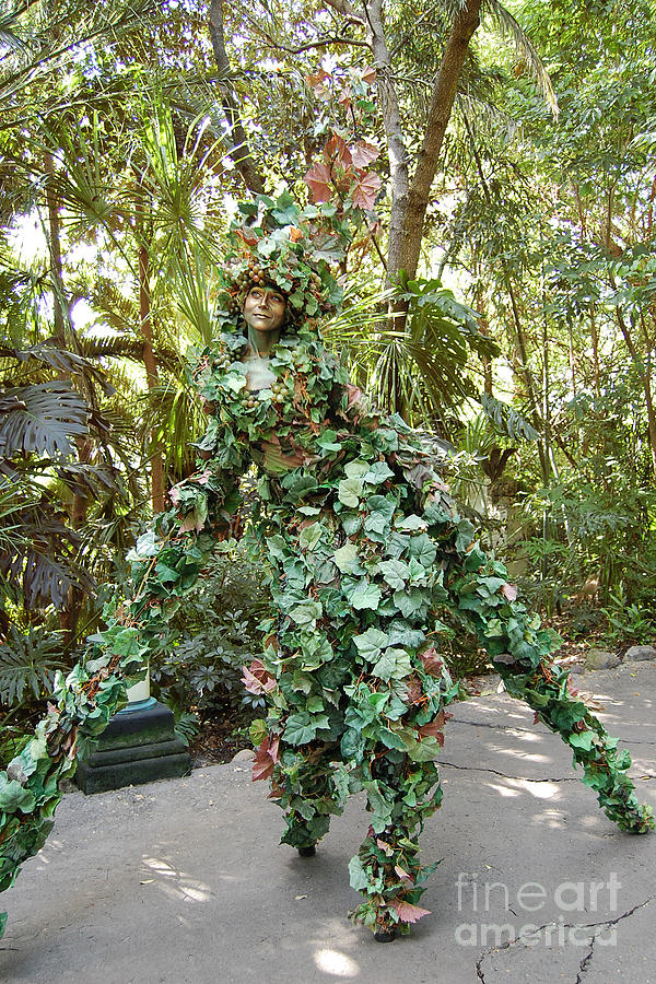 Camouflaged Tree Street Performer Animal Kingdom Walt Disney World Prints Photograph by Shawn OBrien