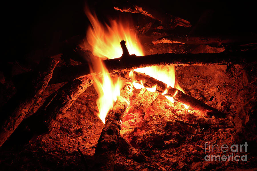 Camp fire - fie and flames Photograph by Michal Boubin