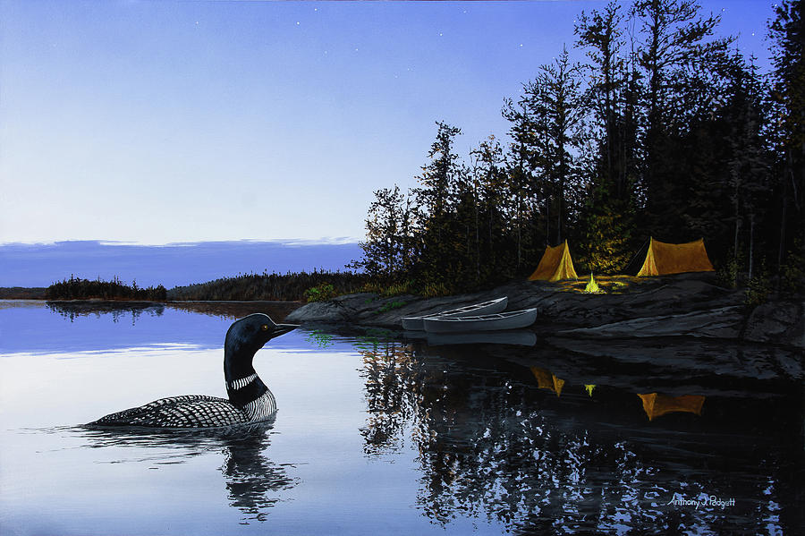 Camp Loon Painting by Anthony J Padgett