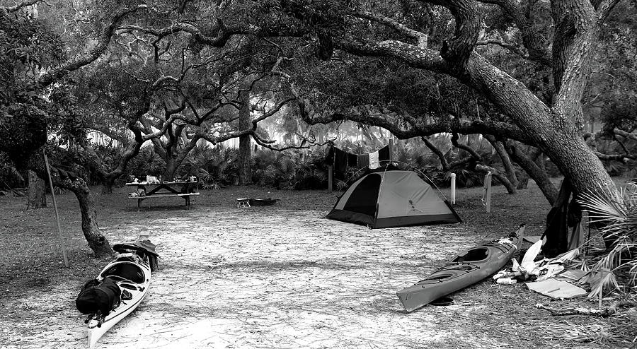 Camp Under Live Oaks Photograph by Daniel Reed
