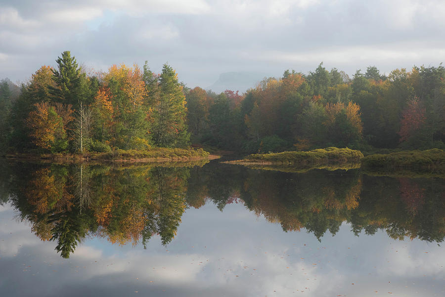 Camp Y Photograph by Sallie Woodring - Fine Art America