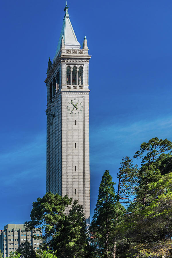 University Of California Photograph - Campanile Tower University of California Berkeley by David A Litman