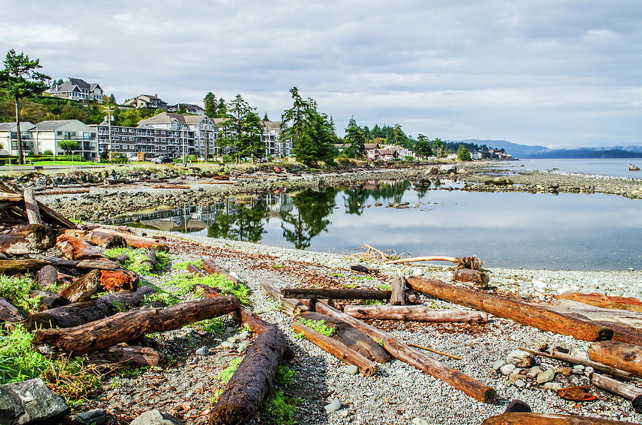 Campbell River Photograph by Alf Damp - Fine Art America