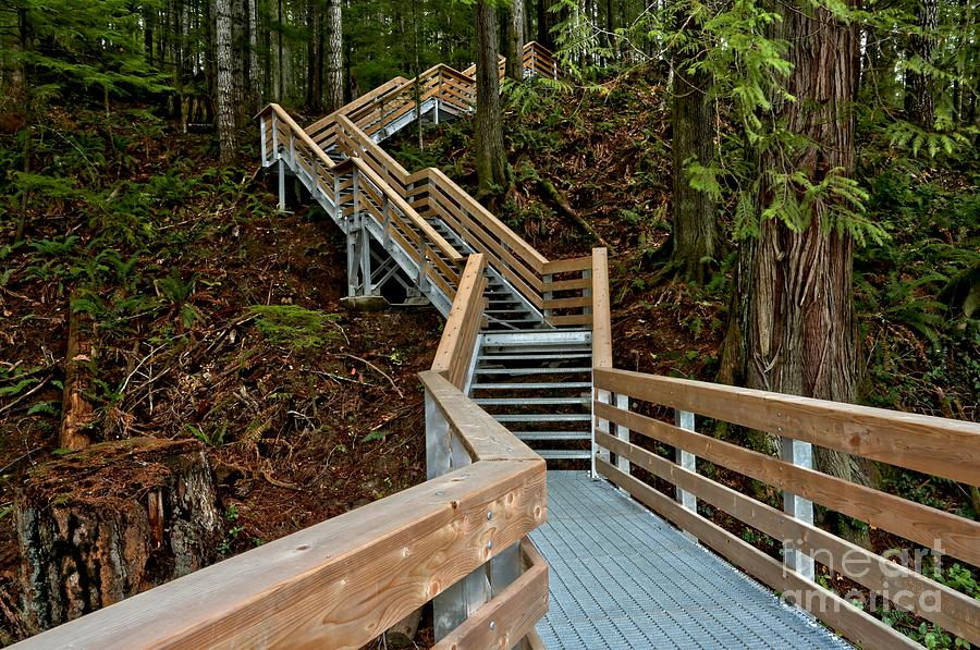 Campbell River Boardwalk Photograph by Adam Jewell