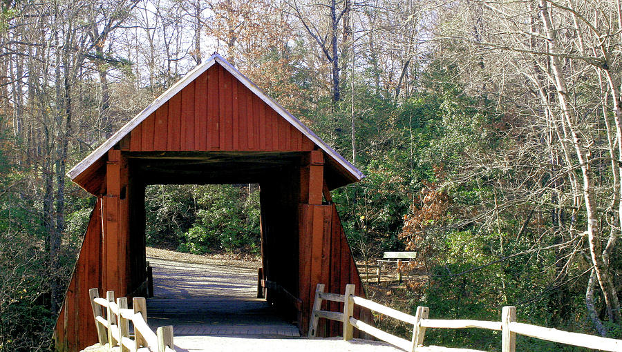 Nature Photograph - Campbells Covered Bridge 2 by Cathy Harper
