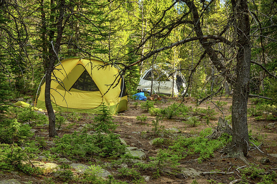 Campers Paradise Photograph by James BO Insogna