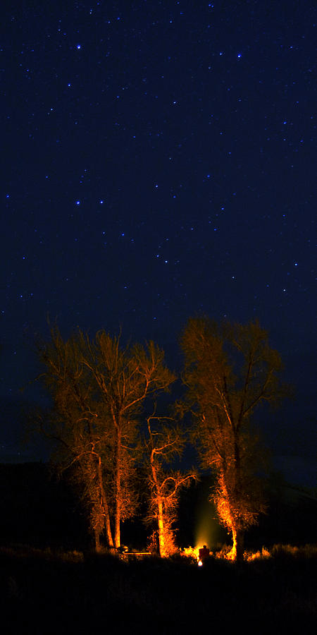 Campfire and the Night Sky Photograph by Gary Langley