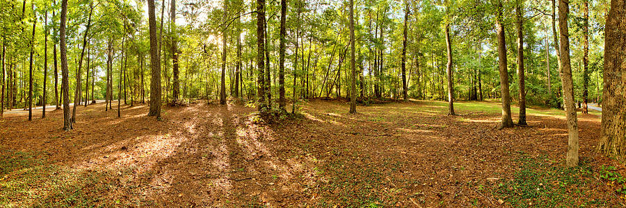 Campground Panoramic at FDR State Park Photograph by Gordon Elwell