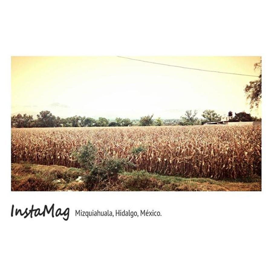 Campo Photograph - #campo #maíz #mizquiahuala #hidalgo by Jabsha  