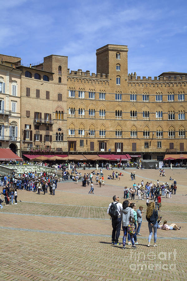 Campo Square In Siena Photograph By Patricia Hofmeester Fine Art America 