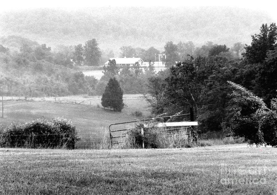 Campus of Sweet Briar Photograph by Katherine W Morse - Fine Art America