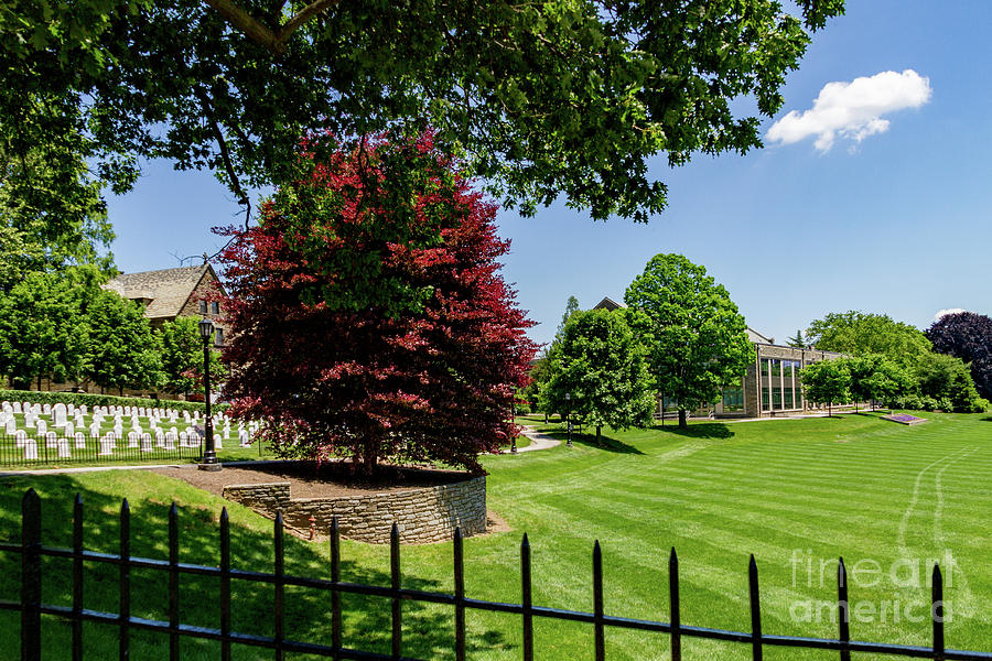 Campus View Photograph by William Norton