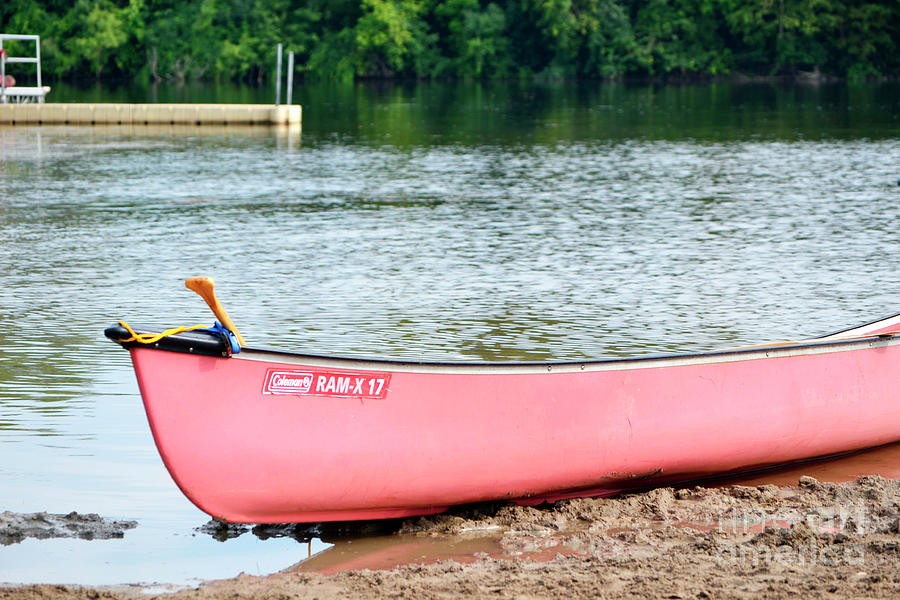 Can You Canoe Photograph by Traci Cottingham