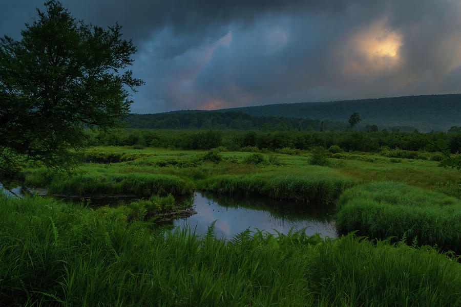 Canaan Valley 1 Photograph by Jason Funk