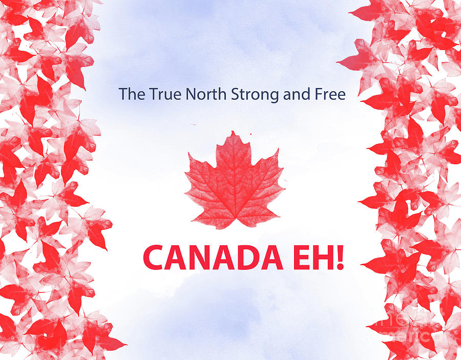 Canada Day 2016 Digital Art by Trilby Cole