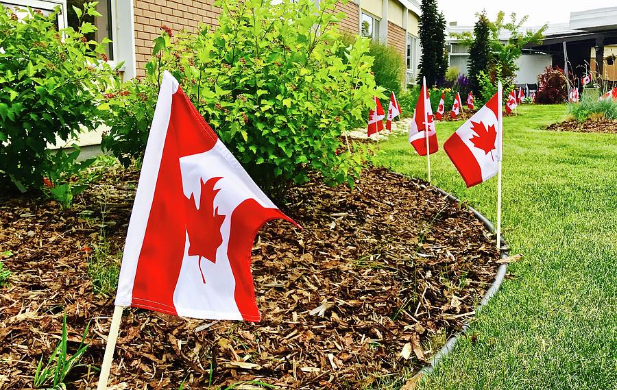 Canada Day Photograph by Brian Sereda