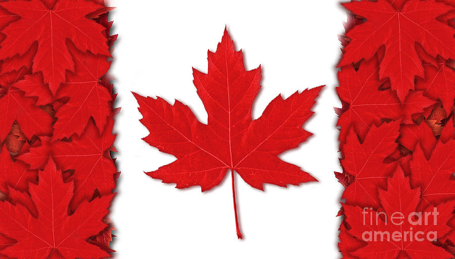 Canada flag background. Canada flag image of Red and white Red leaf. Red maple leaf. picture of cana Digital Art by Borka Kiss -
