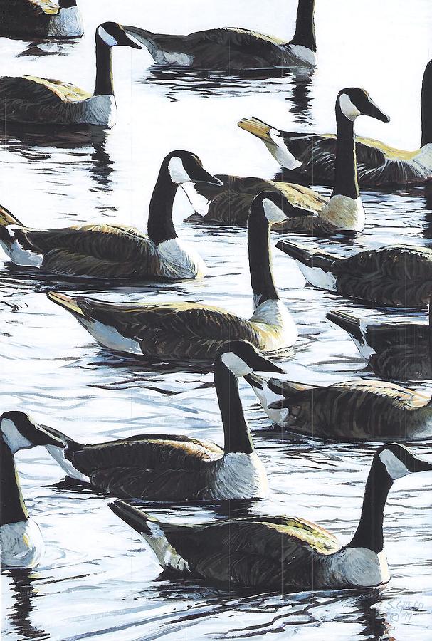Canada Geese 1 Painting by Steve Greco