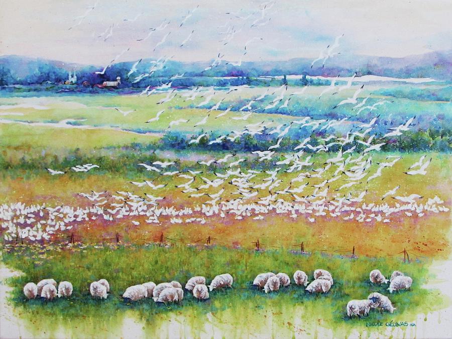 Canada geese and sheep Painting by Nicole Gelinas