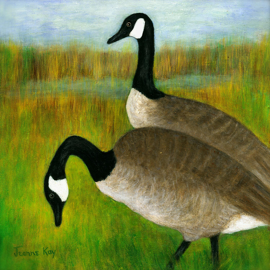 Canada Geese Grazing  Painting by Jeanne Juhos