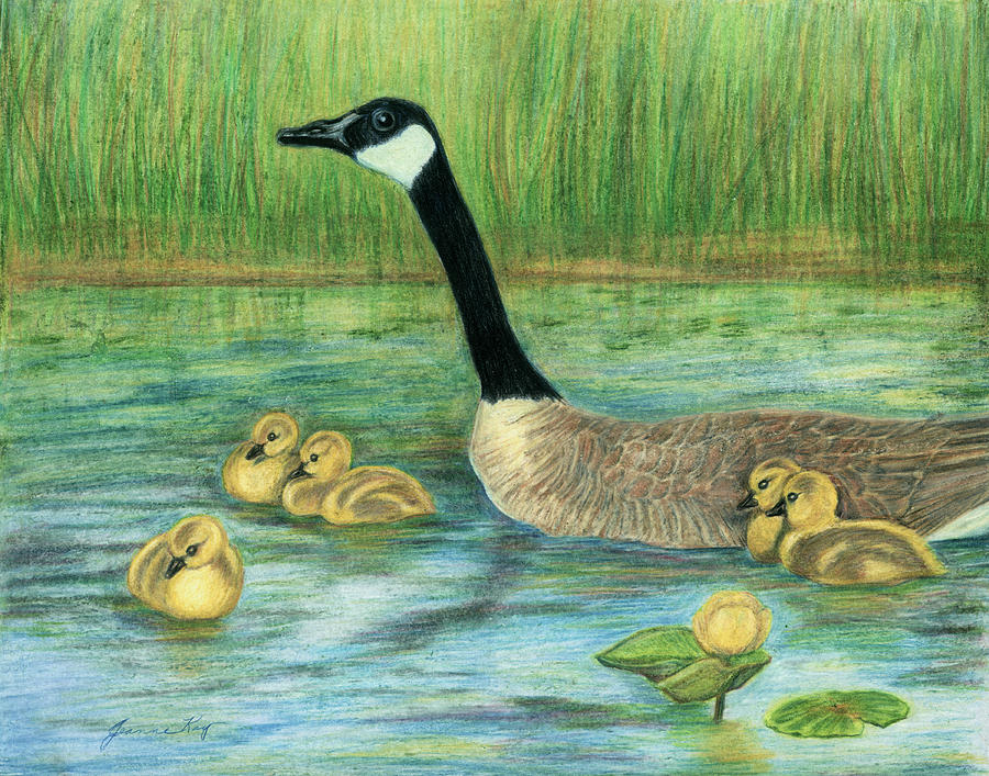 Canada Goose and Goslings Painting by Jeanne Juhos