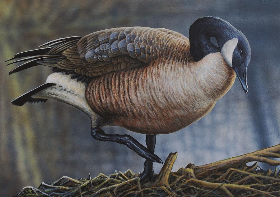 Canada Goose Painting by Anthony J Padgett