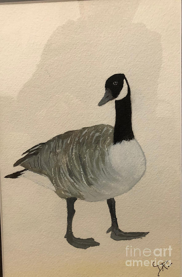 Canada Goose by Donald Paczynski Canada Goose by Donald Paczynski