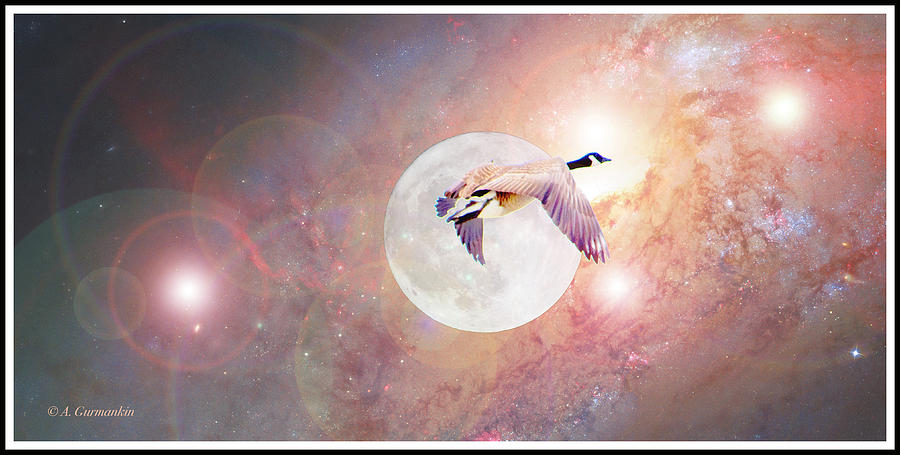 Canada Goose Flies Across the Full Moon Digital Art by A Macarthur Gurmankin