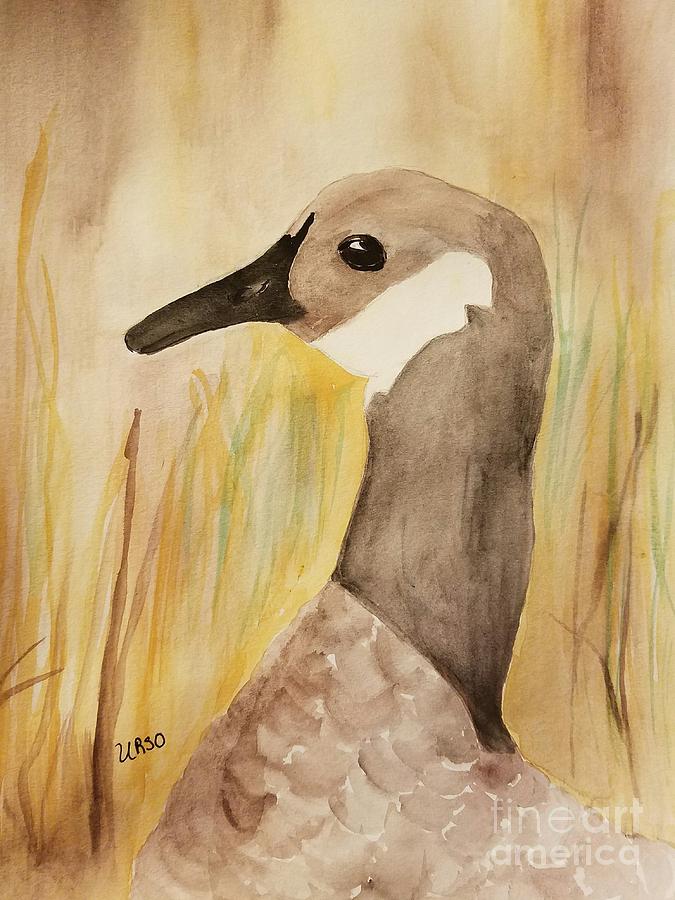 Canada Goose in the Meadow Painting by Maria Urso