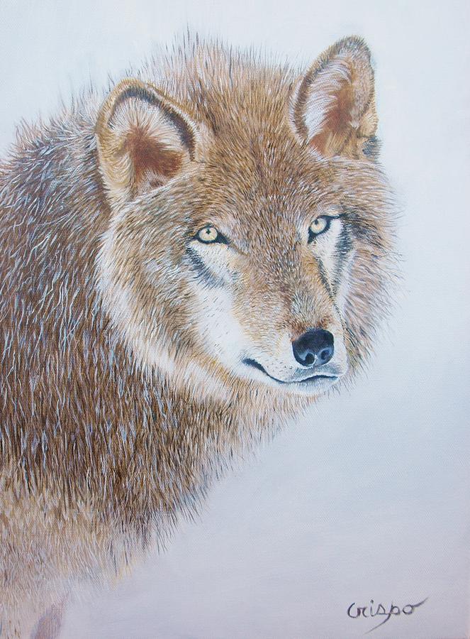 Canada grey wolf. Painting by Jean Yves Crispo