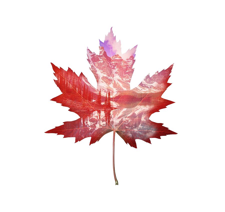 Canada Maple Leaf Digital Art By Deer Devil Designs Pixels