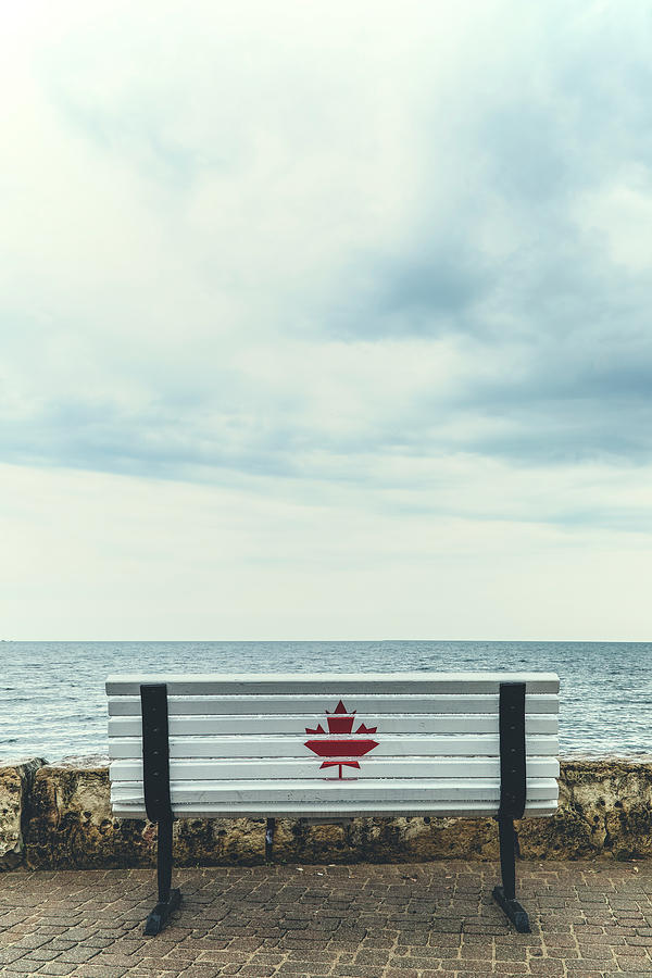 Canadian bench Photograph by Joana Kruse