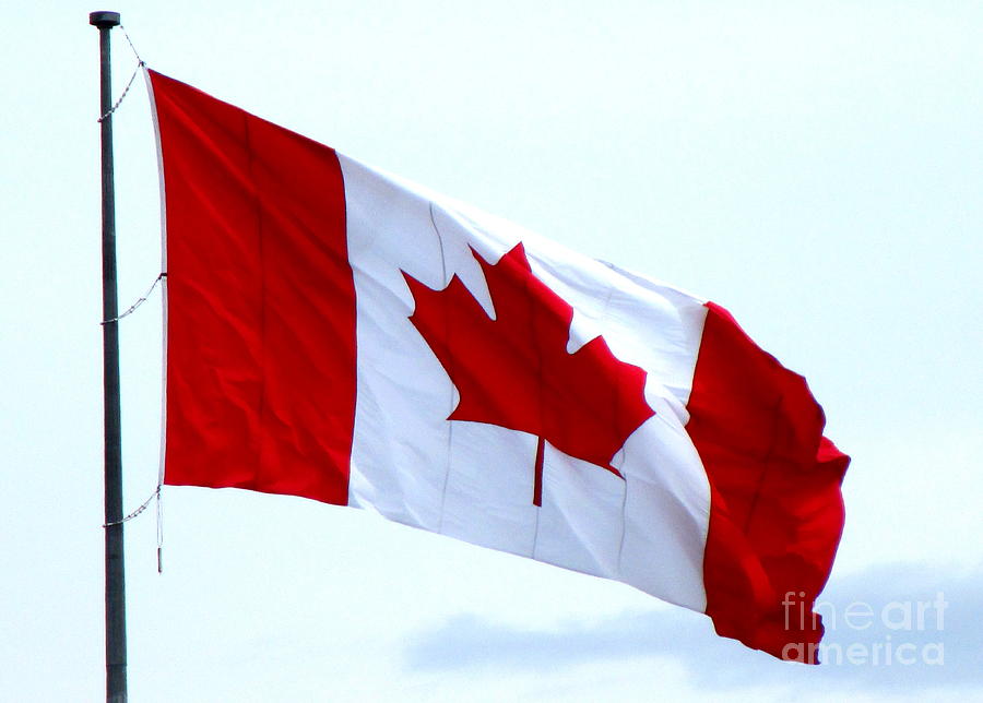 Canadian Flag Photograph by Randall Weidner