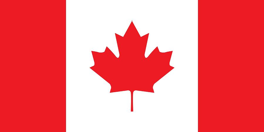 Canadian Flag Painting by Unknown