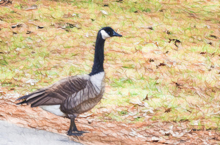 Canadian geese 4 Painting by Jeelan Clark - Fine Art America