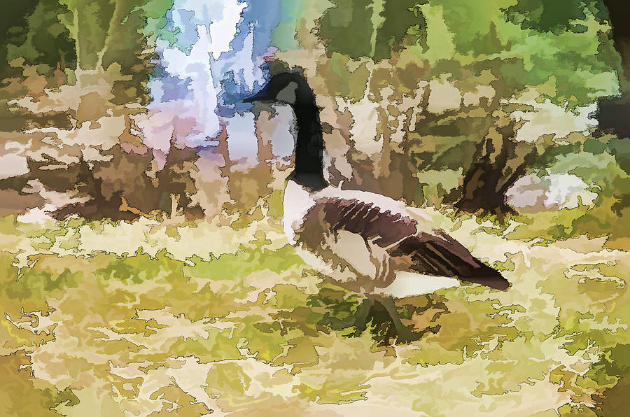 Geese Painting - Canadian geese in the park 2 by Jeelan Clark