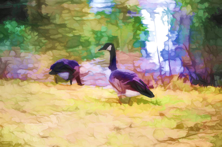 Canadian geese in the park 3 Painting by Jeelan Clark
