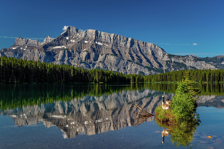 Canadian Geese Two Jake Lake Photograph by Yves Gagnon