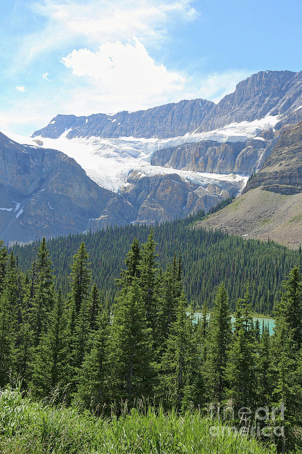 Canadian Glacier in Summer Photograph by Carol Groenen