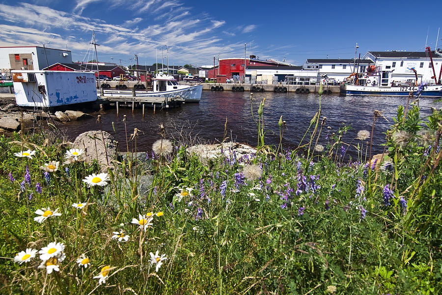 Canadian Harbor on a sunny day Photograph by Sven Brogren