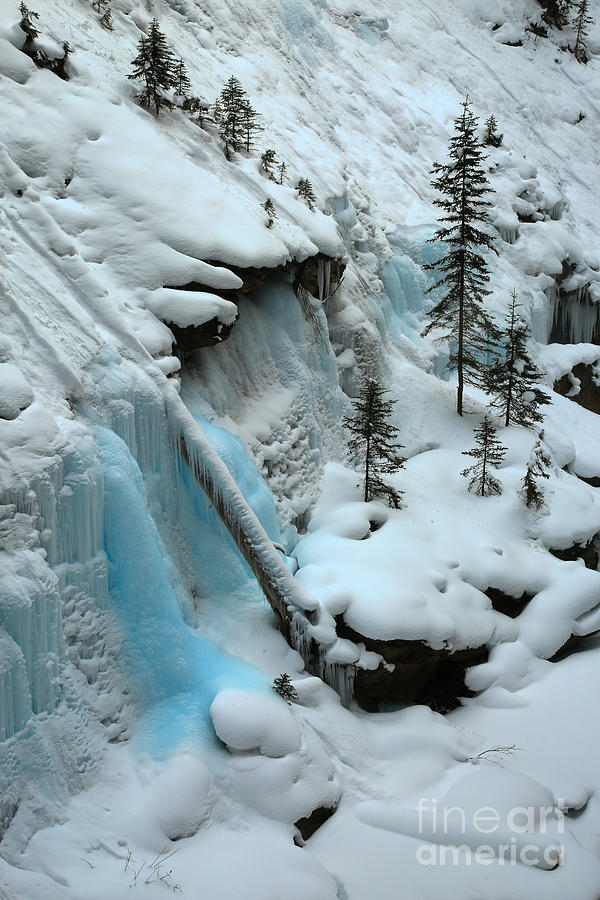 Canadian Icy Blue Photograph by Adam Jewell