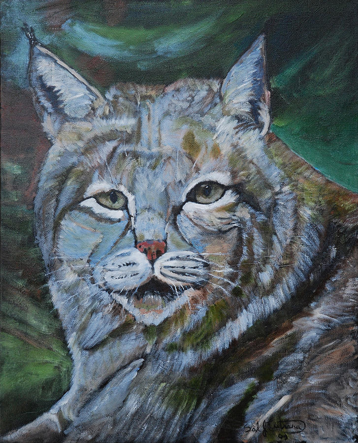 Wildlife Painting - Canadian Lynx by Sal Cutrara