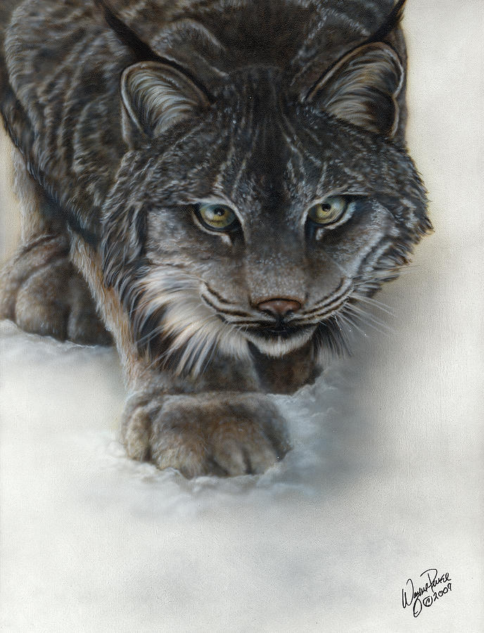 Canadian Lynx Painting by Wayne Pruse